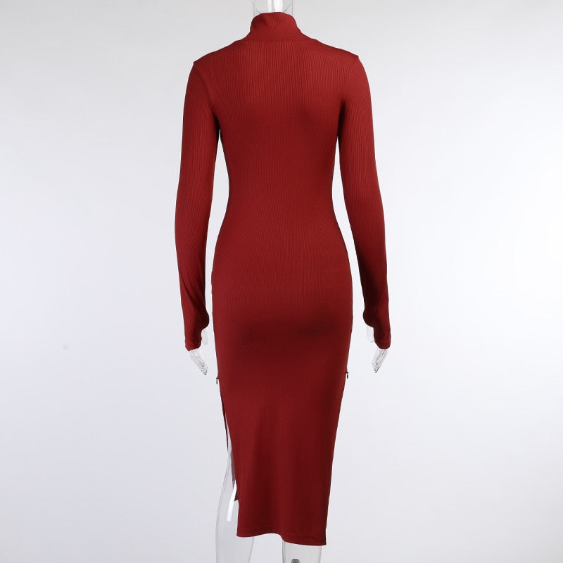 Turtleneck Red Long Dress